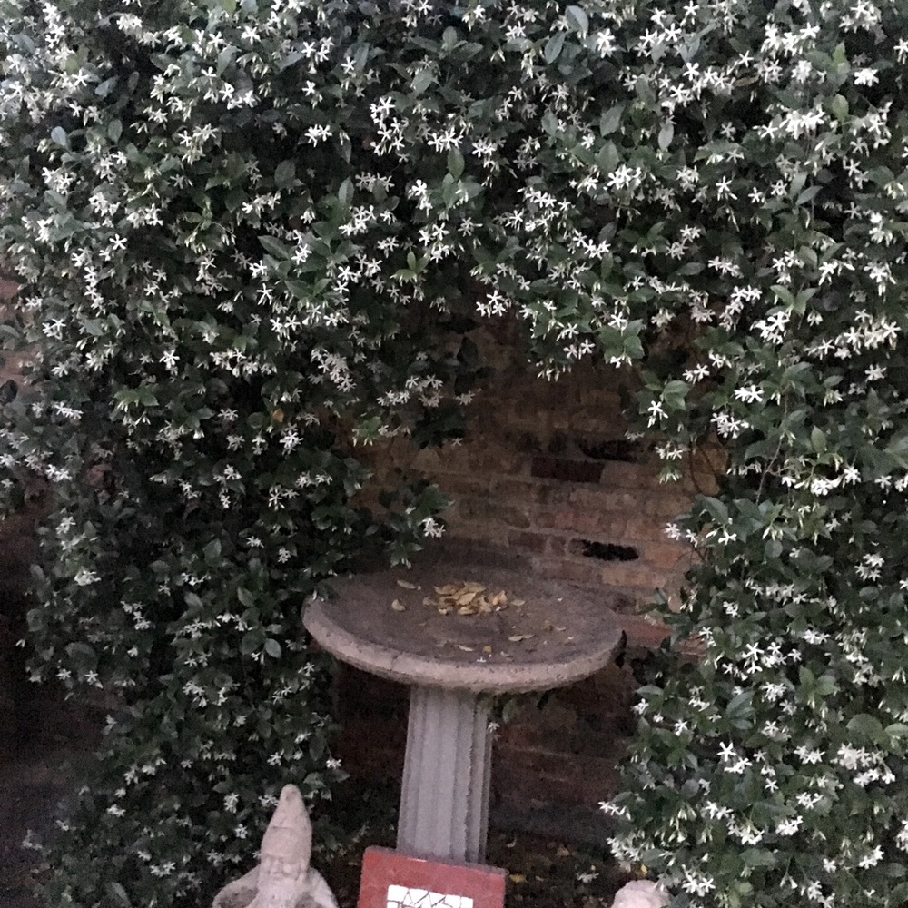 Meet your Posher, Pat